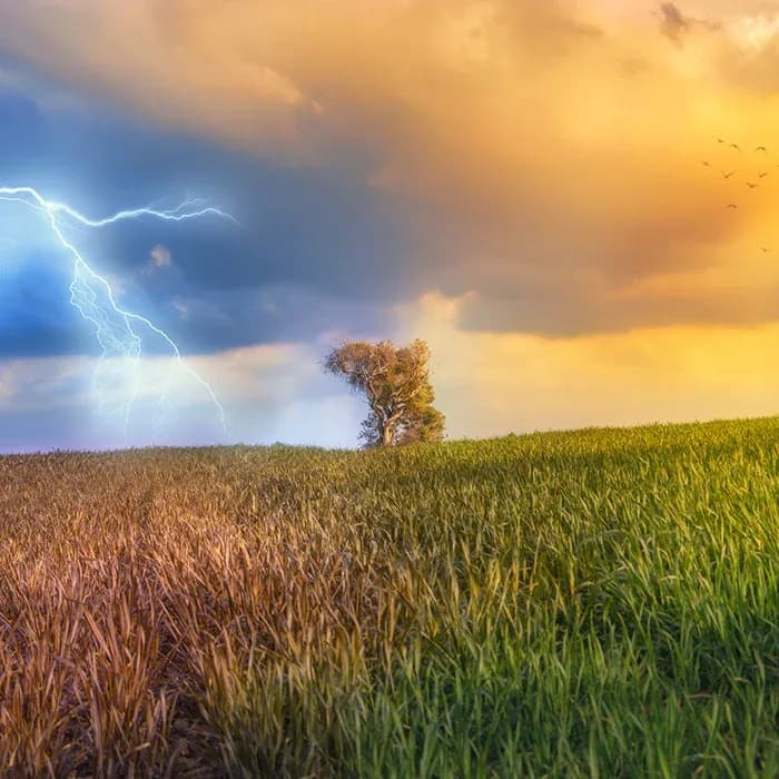 meteo