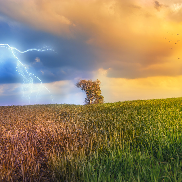 Meteo